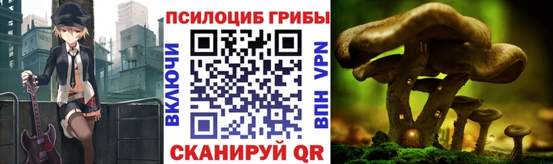 Галлюциногенные грибы Cubensis Беломорск